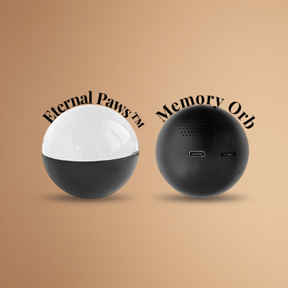 Eternal Paws™ - Pet Memory Orb