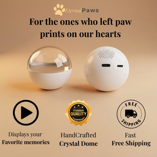 Eternal Paws™ - Pet Memory Orb